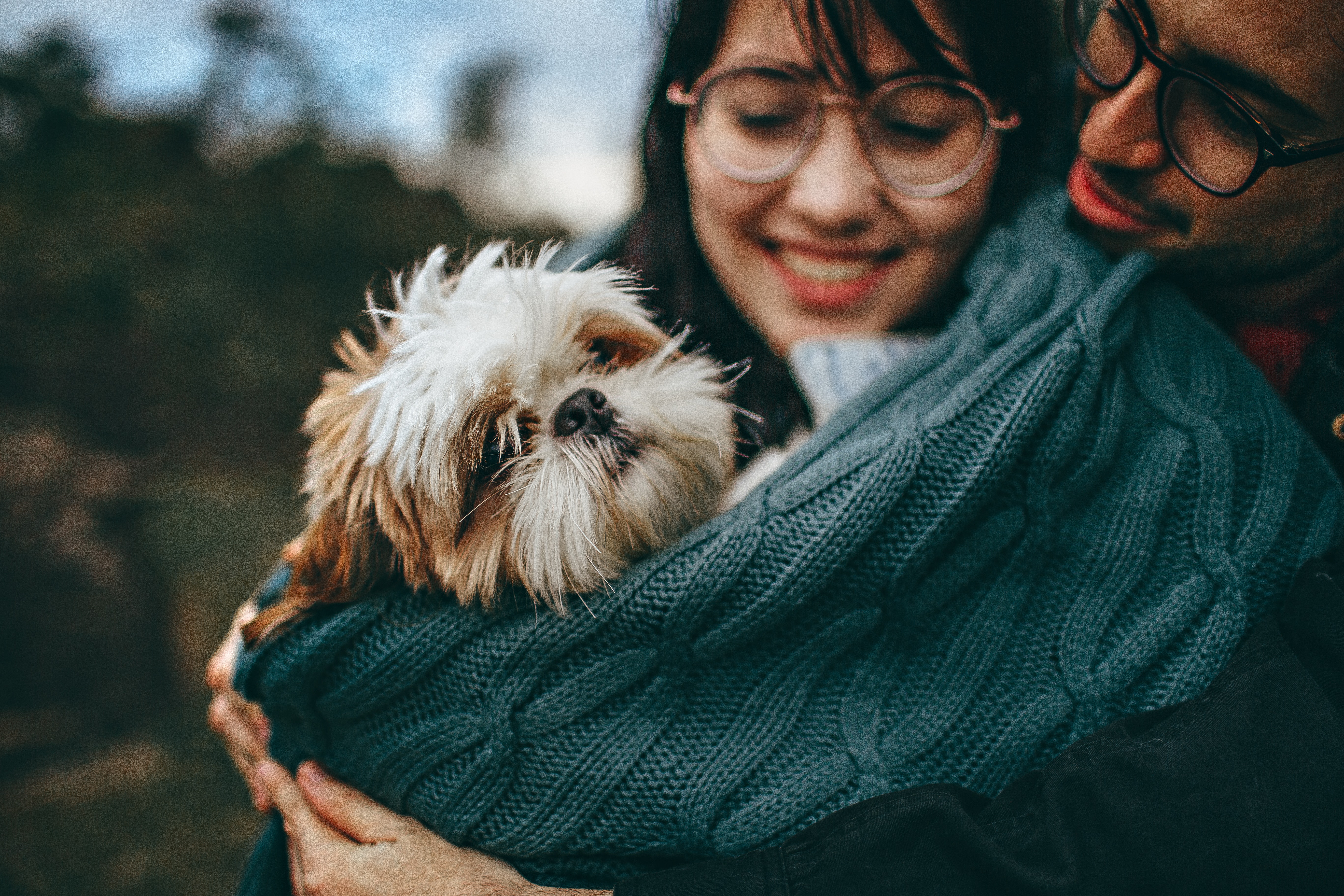 couple hugging a shihtzu